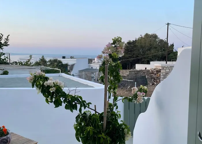 Kisari Chorio Double